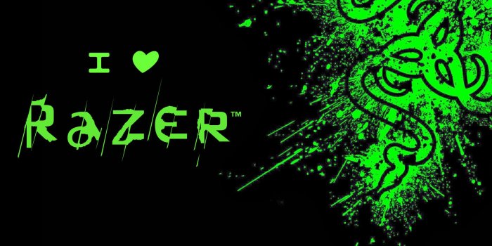 1920x1080 Razer Wallpapers HD (84+ background pictures)