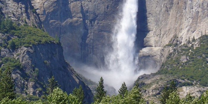 1000x1346 Best 100+ Natural Images [HD] | Download Free Nature Pictures - Unsplash