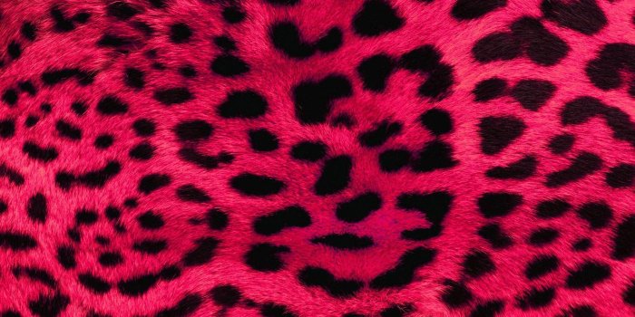 1920x1200 Pink Leopard Wallpaper (39+ images)