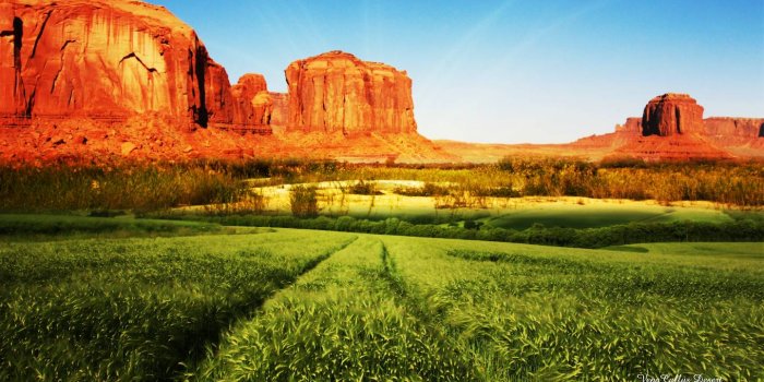 1440x900 Best Nature Wallpapers