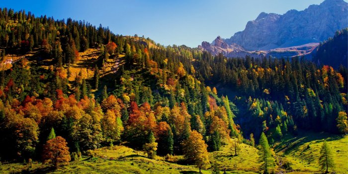 1920x1080 Nature » Nature Wallpapers Free Download For Android Mobile - HD