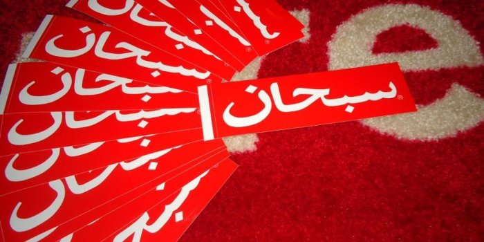 1024x768 Supreme Cheetah Wallpaper - Nutrisi glucolife