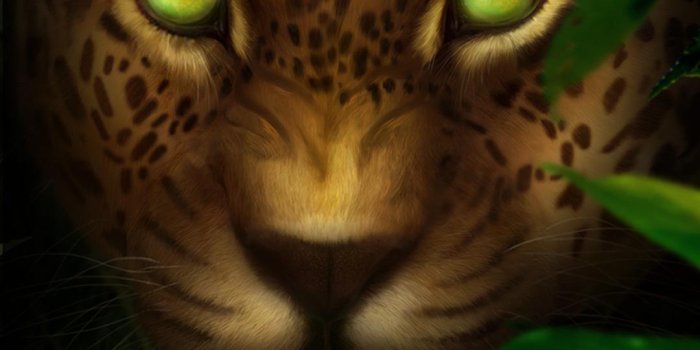 1080x1920 Leopard Live Wallpaper for Android - APK Download