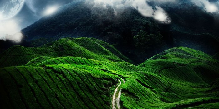 1680x1050 37+ Nature Hd Wallpaper, Nature HD HD Wallpapers, Free Download Pack