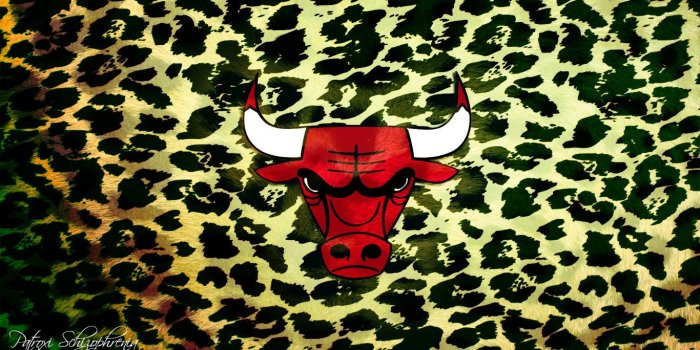 1366x768 Chicago Bulls Wallpaper (12)
