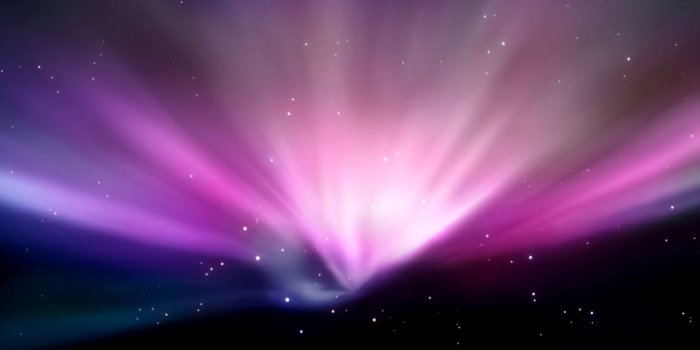 1456x839 Leopard Apple Wallpaper | Wallpapers Supreme