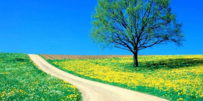 1440x1080 HD Nature Phone Wallpapers - Top Free HD Nature Phone Backgrounds