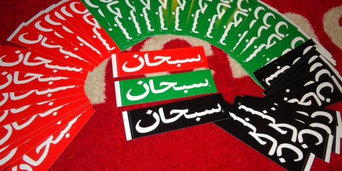 1024x768 Supreme Cheetah Wallpaper - Nutrisi glucolife