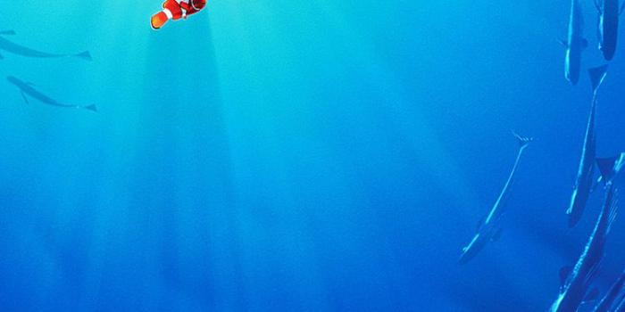 750x1334 iPhone7papers.com | iPhone7 wallpaper | aw13-nemo-disney-film-anime