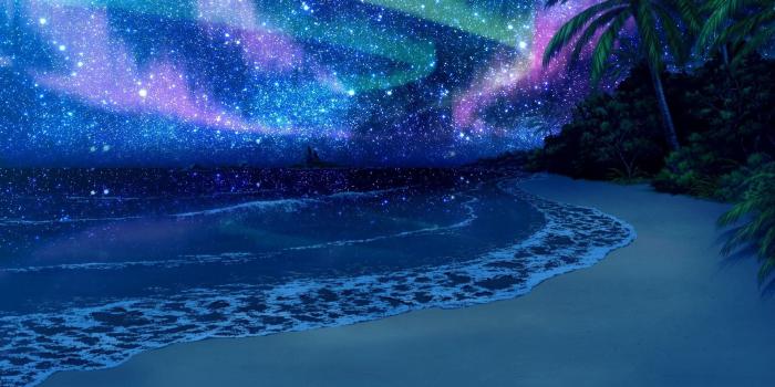 1920x1080 Coconut tree, sea, stars, beach, anime HD wallpaper | Wallpaper Flare