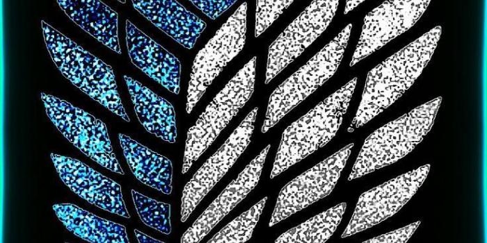 736x1309 Wallpaper - Wings of Freedom Attack on Titan Shingeki no Kyojin