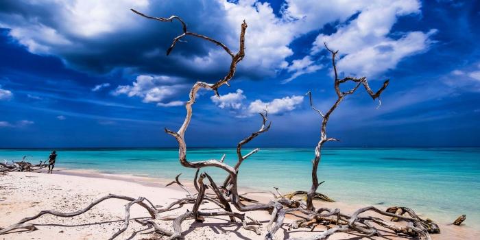 1920x1200 Anime Water Dead Wallpaper Beach | Beautiful BeachAuresqueue.com