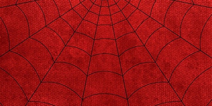 1080x1920 Spiderman iPhone Wallpaper HD (83+ images)