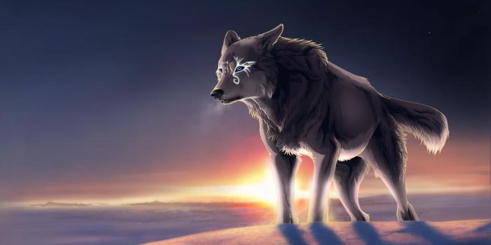1920x1200 71+ Animated Wolf Wallpapers on WallpaperPlay