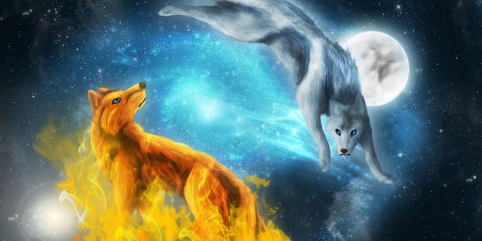 1920x1200 71+ Animated Wolf Wallpapers on WallpaperPlay