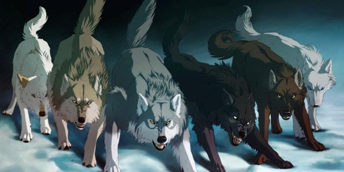 1024x768 Anime wolf wallpapers Gallery