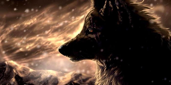 1152x752 3D Anime Wolf Wallpaper | Amazing Wallpapers
