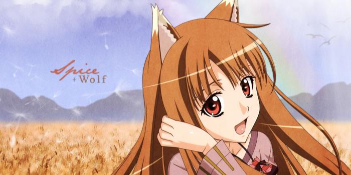 1920x1200 Spice And Wolf wallpaper | 1920x1200 | #3879
