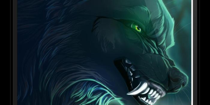 900x1700 Anime Wolf Wallpapers for Android - APK Download