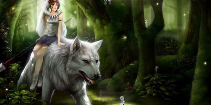 2560x1600 Anime Wolves Wallpapers