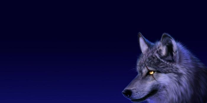 1920x1080 Anime Wolf Wallpapers Wallpaper 1920x1080