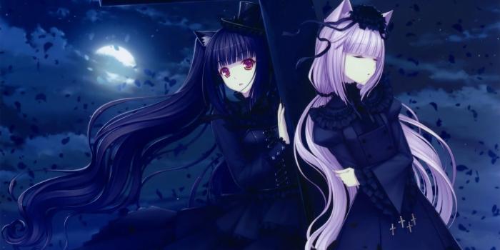 1920x1080 Anime Wolf Wallpapers (78+ background pictures)