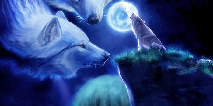 1600x1600 Awesome Anime Wolves - Wallpapers Browse