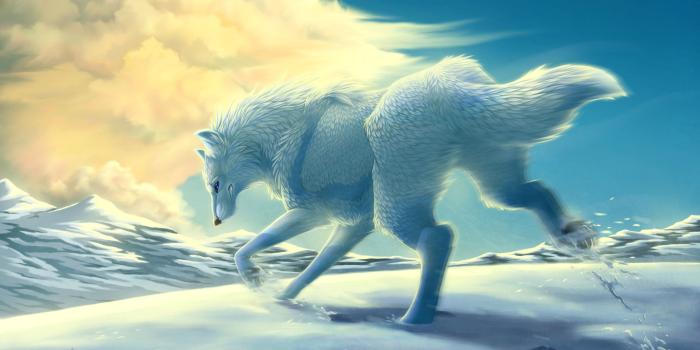 2542x1554 Anime wolf backgrounds Gallery