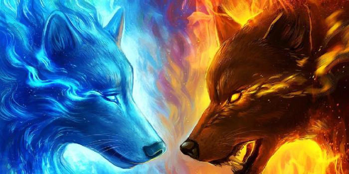 1920x1080 Fantasy Wolf Wallpaper | images | Wolf wallpaper, Fantasy wolf