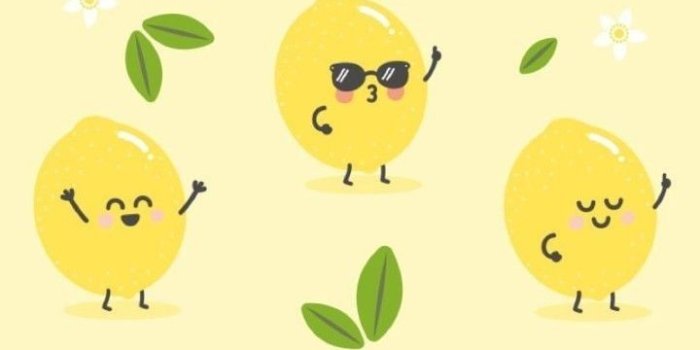 720x1280 Instant Pot Lemon Garlic Chicken | Cute things | Summer wallpaper