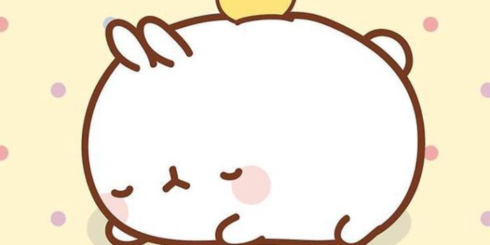 736x1104 Cute Stuff Wallpapers
