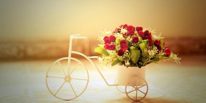 1920x1080 Cute Romantic Wallpapers Wallpaper 1920x1080