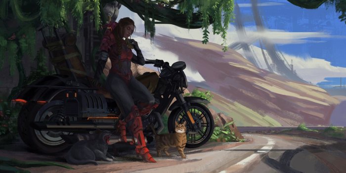 1920x1080 5071373 1920x1080 Motorcycle, Girl, Cat, Woman wallpaper and