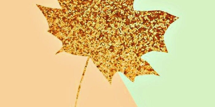 1087x1932 Cute Things Wallpaper Group (42+)