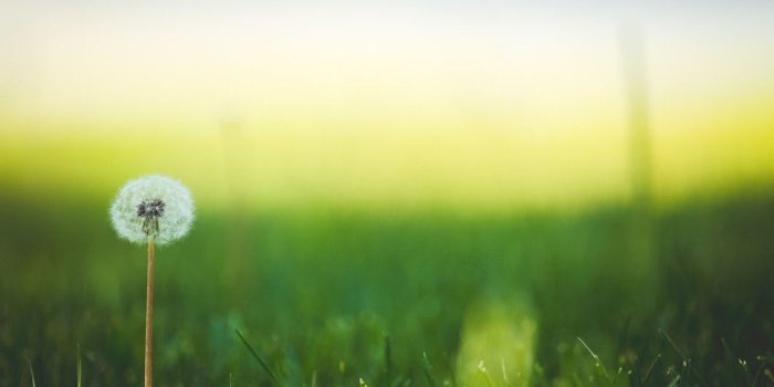 1062x750 Therapeutic Desktop Wallpapers - Top Free Therapeutic Desktop