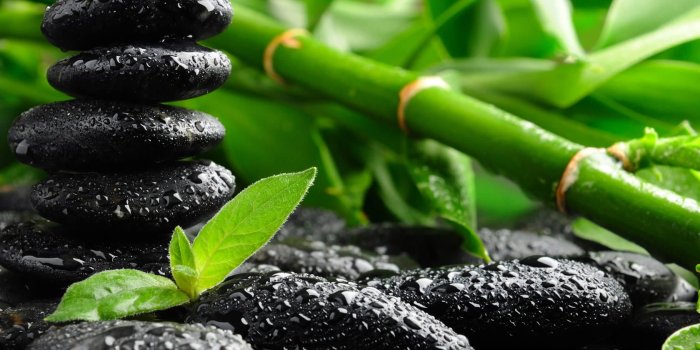 1680x1050 therapeutic wallpaper