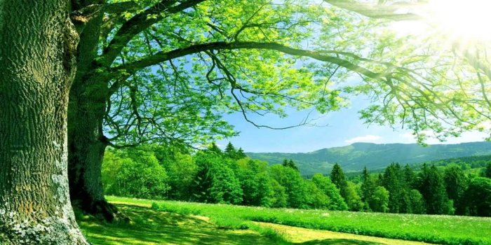 1280x720 Therapeutic Desktop Wallpapers - Top Free Therapeutic Desktop