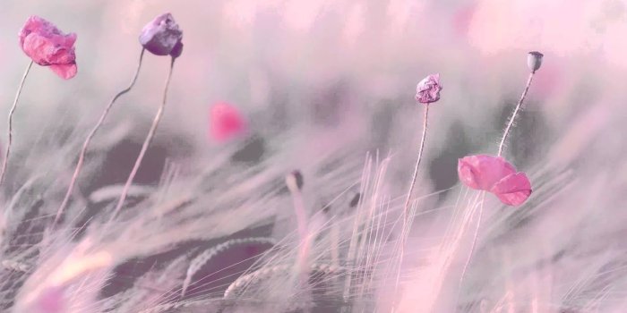 1280x720 3 HOURS Best Relaxing Music 'Romantic Piano