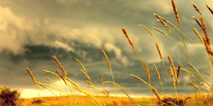 1920x1200 therapeutic wallpaper