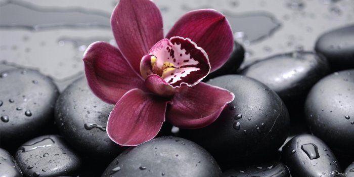 1920x1080 Therapeutic HD wallpapers Collection