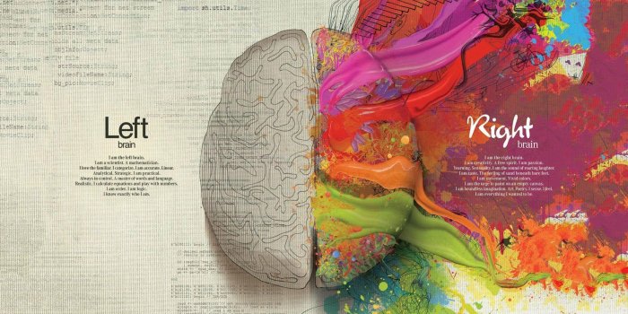1920x1080 Left and Right Brain HD Wallpaper » FullHDWpp - Full HD Wallpapers