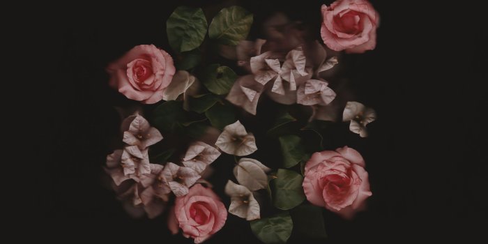 2800x1947 Therapeutic Desktop Wallpapers - Top Free Therapeutic Desktop