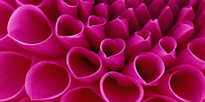 1920x1200 77+ Pink Phone Wallpapers on WallpaperPlay