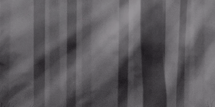 750x1334 Wallpaper GIFs - Get the best GIF on GIPHY