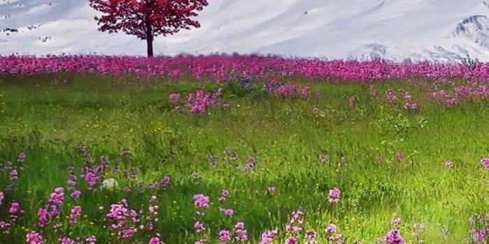 960x1600 Amazing Mobile Wallpaper - Mobiles Wall