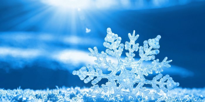 2560x1600 Frozen, Logo, Symbol, HD, Images, Free Stock Photos, Desktop Images