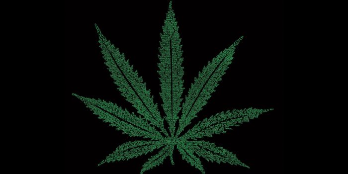 2560x1600 Black Marijuana HD Wallpapers