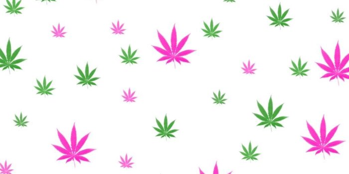 1024x768 Best 43+ Pretty Girly Weed Backgrounds on HipWallpaper | Pretty