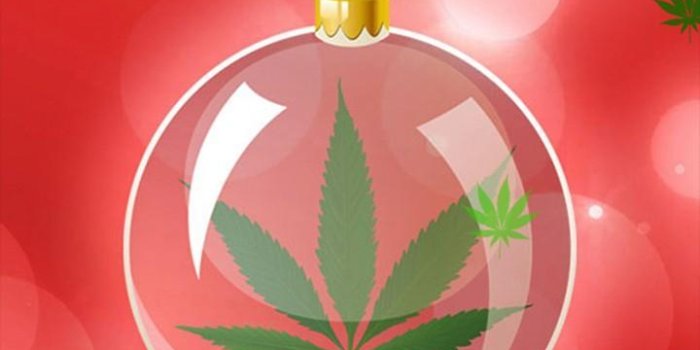 720x1280 Weed Live Wallpaper for Android - APK Download