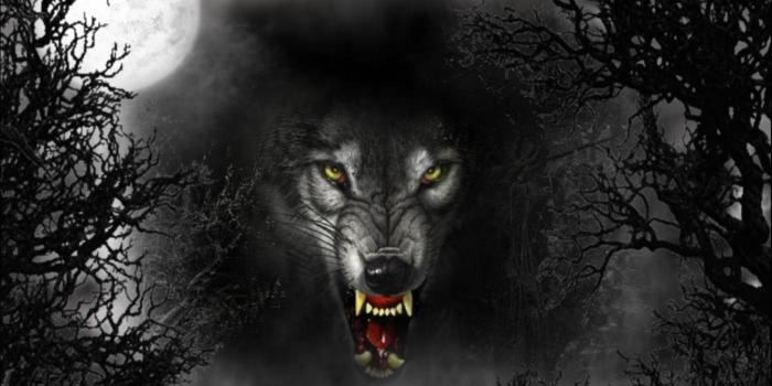 1920x1080 evil-wolves-Cruel-Wolf-dark-evil-eyes-full-moon-vicious-wolf